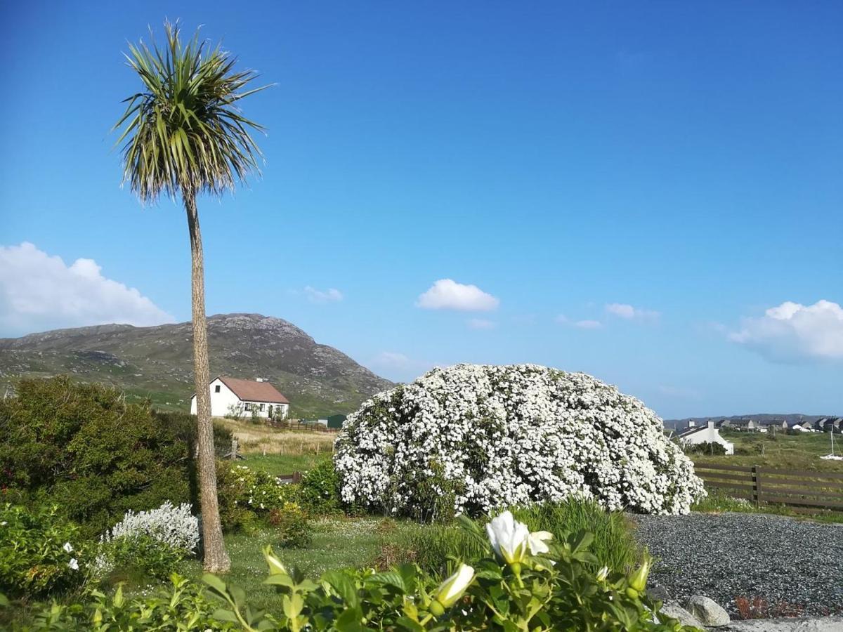 Brae Lea House, Lochboisdale, South Uist. Outer Hebrides Bed & Breakfast Eksteriør bilde